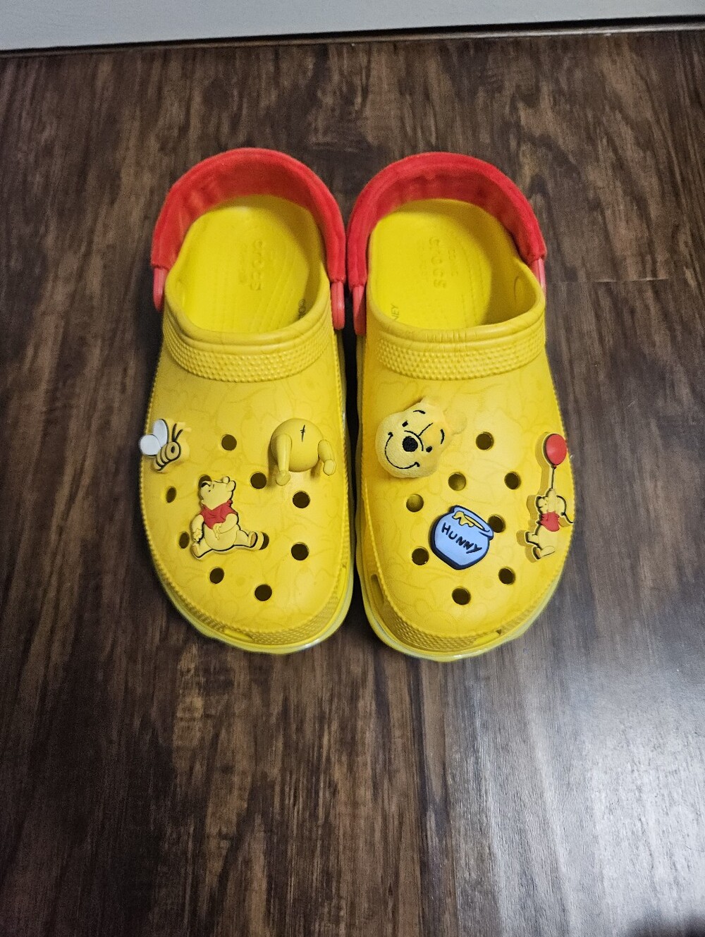 Women's/Men's Disney Winnie The Pooh Crocs